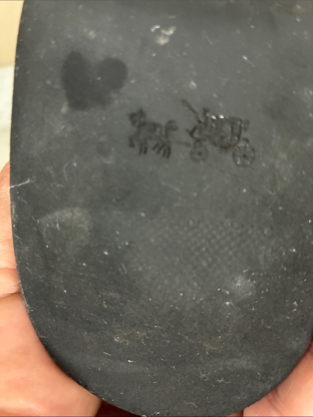 COACH BOTAS - Picture 7 of 8